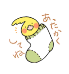 オカメインコのお気遣いスタンプ（個別スタンプ：17）
