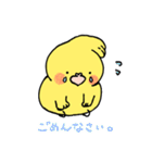 オカメインコのお気遣いスタンプ（個別スタンプ：21）