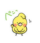 オカメインコのお気遣いスタンプ（個別スタンプ：33）
