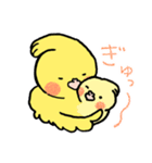 オカメインコのお気遣いスタンプ（個別スタンプ：37）