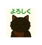 ✴︎長毛黒猫の日常用語スタンプ✴︎（個別スタンプ：15）