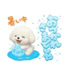 夏★大きい文字★白わんこ（個別スタンプ：11）