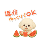 夏★大きい文字★白わんこ（個別スタンプ：33）