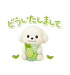 夏★大きい文字★白わんこ（個別スタンプ：34）