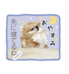 Pino♡日常スタンプ（個別スタンプ：6）