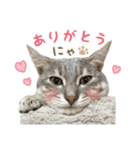 なつめの気まぐれスタンプ（個別スタンプ：6）