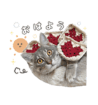 なつめの気まぐれスタンプ（個別スタンプ：9）