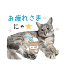 なつめの気まぐれスタンプ（個別スタンプ：11）