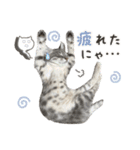 なつめの気まぐれスタンプ（個別スタンプ：15）