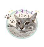 なつめの気まぐれスタンプ（個別スタンプ：18）