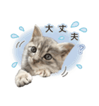 なつめの気まぐれスタンプ（個別スタンプ：19）