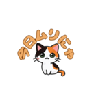 にゃんか知らんけど。（個別スタンプ：1）