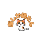 にゃんか知らんけど。（個別スタンプ：6）