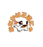 にゃんか知らんけど。（個別スタンプ：8）
