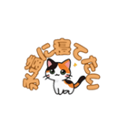 にゃんか知らんけど。（個別スタンプ：9）
