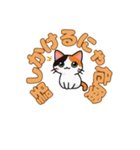 にゃんか知らんけど。（個別スタンプ：12）