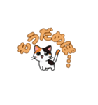 にゃんか知らんけど。（個別スタンプ：13）