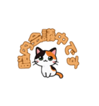 にゃんか知らんけど。（個別スタンプ：16）
