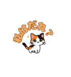 にゃんか知らんけど。（個別スタンプ：21）