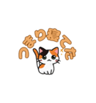 にゃんか知らんけど。（個別スタンプ：22）