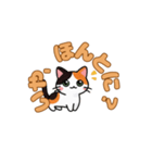 にゃんか知らんけど。（個別スタンプ：23）