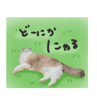 ラグドールのきりにゃ スタンプ1（個別スタンプ：8）