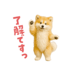 毎日つかえる♡もふもふ秋田犬ハロの日常（個別スタンプ：2）