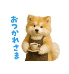 毎日つかえる♡もふもふ秋田犬ハロの日常（個別スタンプ：3）