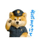毎日つかえる♡もふもふ秋田犬ハロの日常（個別スタンプ：5）