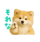 毎日つかえる♡もふもふ秋田犬ハロの日常（個別スタンプ：6）
