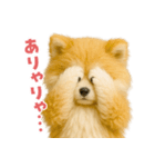 毎日つかえる♡もふもふ秋田犬ハロの日常（個別スタンプ：14）