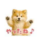 毎日つかえる♡もふもふ秋田犬ハロの日常（個別スタンプ：15）