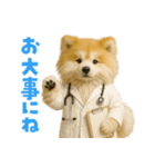毎日つかえる♡もふもふ秋田犬ハロの日常（個別スタンプ：24）