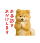 毎日つかえる♡もふもふ秋田犬ハロの日常（個別スタンプ：25）