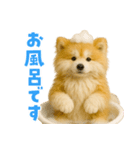 毎日つかえる♡もふもふ秋田犬ハロの日常（個別スタンプ：27）