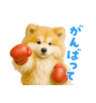 毎日つかえる♡もふもふ秋田犬ハロの日常（個別スタンプ：28）
