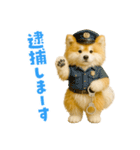 毎日つかえる♡もふもふ秋田犬ハロの日常（個別スタンプ：34）