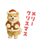 毎日つかえる♡もふもふ秋田犬ハロの日常（個別スタンプ：40）