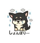 ショコラスタンプ1、（個別スタンプ：4）