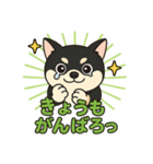ショコラスタンプ1、（個別スタンプ：11）