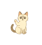 なんの変哲もない猫スタンプ1（個別スタンプ：3）