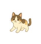 なんの変哲もない猫スタンプ1（個別スタンプ：6）