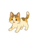 なんの変哲もない猫スタンプ1（個別スタンプ：7）