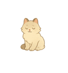 なんの変哲もない猫スタンプ1（個別スタンプ：12）