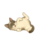 なんの変哲もない猫スタンプ1（個別スタンプ：20）