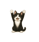 なんの変哲もない猫スタンプ1（個別スタンプ：22）