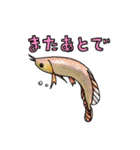 アロワナちゃんたち（個別スタンプ：3）