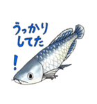 アロワナちゃんたち（個別スタンプ：6）