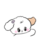 子犬のめるちゃん（個別スタンプ：1）