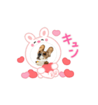 ナンくんのうごくスタンプ（個別スタンプ：3）